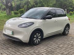 Wuling Binguo 333km Lingxi Connected Plus - фото 1
