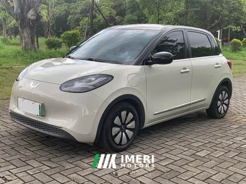2023 Wuling Binguo 333km Lingxi Connected Plus - car from China