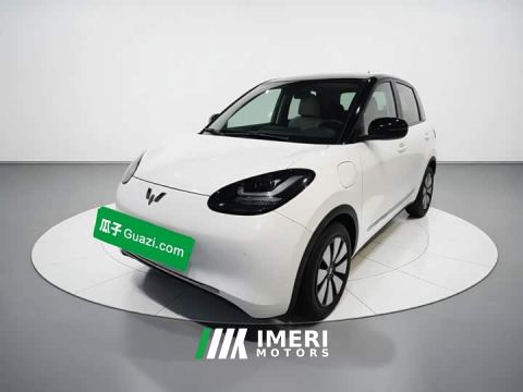 2024 Wuling Binguo 333km Joy Edition - car from China