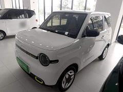 Geely Panda Mini 210km Vitality Edition - ფოტო 1