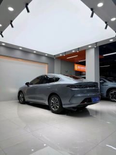 BYD Destroyer 05 DM-i Honor Edition 1.5L 55km Luxury Edition - photo 9