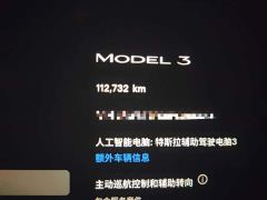 Tesla Model 3 Rear-Wheel Drive - photo 8