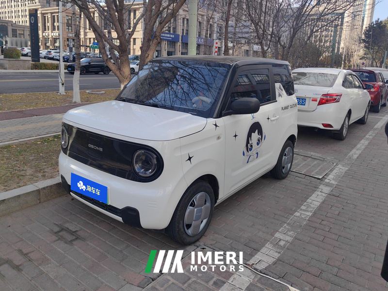 Geely Galaxy Panda mini 200km Endurance Bear - ავტომობილი ჩინეთიდან