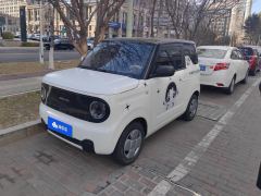 Geely Galaxy Panda mini 200km Endurance Bear - ფოტო 1