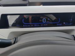 Geely Galaxy Panda mini 200km Endurance Bear - ფოტო 20