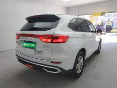 Haval M6 PLUS 1.5T DCT Elite Smart Connected Edition - ფოტო 6