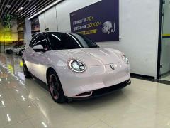 ORA Good Cat GT Mulan Edition 401km Luxury - ფოტო 3