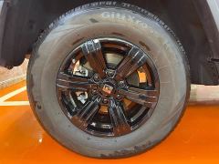 Tank 300 2.0T Gasoline Challenger - photo 15