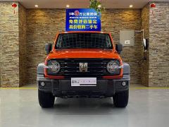 Tank 300 2.0T Gasoline Challenger - photo 2