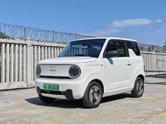 Geely Panda Mini 200km Agile Panda - ფოტო 1