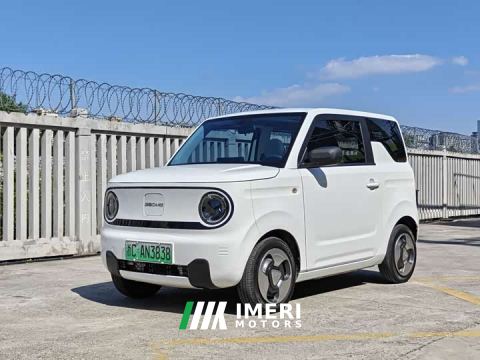 2023 Geely Panda Mini 200km Agile Panda