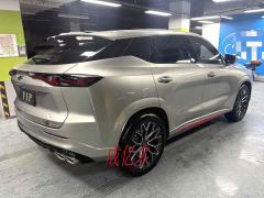 Oshan Oushang Z6 2.0T Version - ფოტო 10