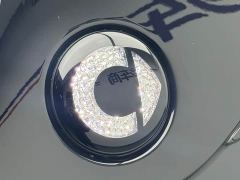 smart #1 Dynamic Luxury Edition - photo 14