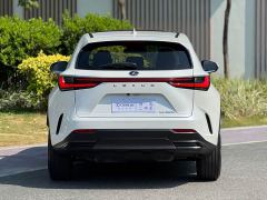 Lexus NX 350h FWD Creative Joy Edition - фото 15