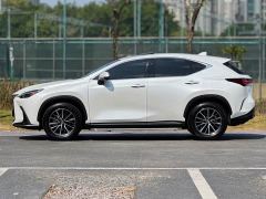 Lexus NX 350h FWD Creative Joy Edition - фото 3