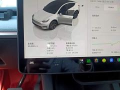 Tesla Model Y Rear-Wheel Drive - ფოტო 11