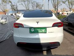 Tesla Model Y Rear-Wheel Drive - ფოტო 5