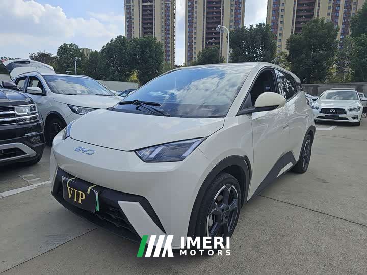 BYD Seagull Vitality Edition - car from China