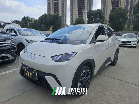 2023 BYD Seagull Vitality Edition - ავტომობილი ჩინეთიდან