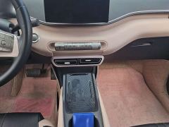BYD Seagull Vitality Edition - photo 10