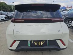 BYD Seagull Vitality Edition - photo 14