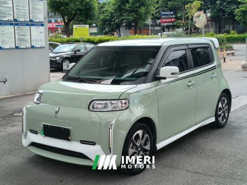 2022 Ora White Cat Edition 360Km Luxury Version - ავტომობილი ჩინეთიდან