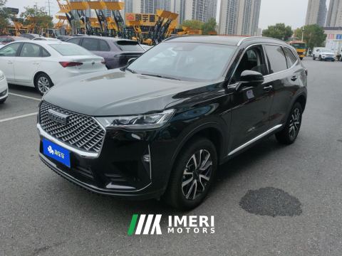 2024 Haval H6 1.5T Two-Wheel Drive Classic Edition - автомобиль из Китая
