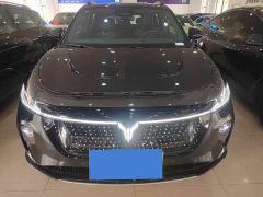 Voyah Lantu Zhiyin Four-Wheel Drive Global Edition - фото 1