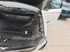 Honda Lingxi L Top Player Edition with Super Double Option Package - фото 19