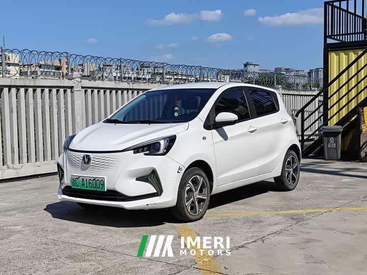 Changan Benben E-Star Pure Heart Edition Colorful Edition Ternary Lithium - car from China