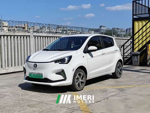 2022 Changan Benben E-Star Pure Heart Edition Colorful Edition Ternary Lithium - ავტომობილი ჩინეთიდან