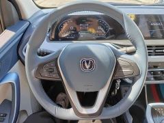 Changan Benben E-Star Pure Heart Edition Colorful Edition Ternary Lithium - photo 14