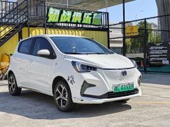 Changan Benben E-Star Pure Heart Edition Colorful Edition Ternary Lithium - photo 3