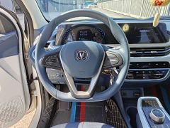 Changan Benben E-Star Pure Heart Edition Colorful Edition Ternary Lithium - photo 9