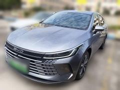 BYD Destroyer 05 Champion Edition DM-i 120KM Premium Type - photo 1