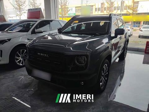 2025 Great Wall Dachshund 1.5T DCT Border Collie Edition - car from China