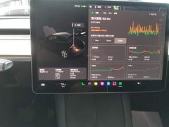 Tesla Model Y Rear-Wheel Drive - ფოტო 12