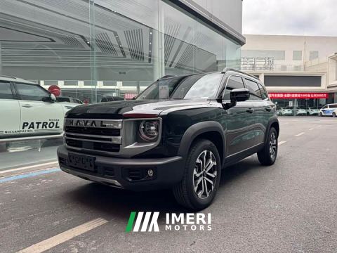 2023 Great Wall Dachshund 1.5T DCT Border Collie Edition - car from China