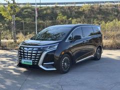 Denza D9 DM-i 980 Four-Wheel Drive Premium - фото 2
