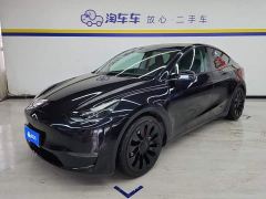 Tesla Model Y Performance All-Wheel Drive - ფოტო 1