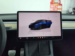 Tesla Model Y Performance All-Wheel Drive - ფოტო 13