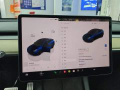 Tesla Model Y Performance All-Wheel Drive - ფოტო 14