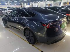 Tesla Model 3 Rear-Wheel Drive - фото 4