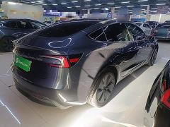 Tesla Model 3 Rear-Wheel Drive - фото 6