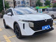 Chégan V 260T Edition - ფოტო 3
