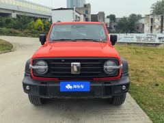 Tank 300 2.0T Challenger Gasoline - photo 3