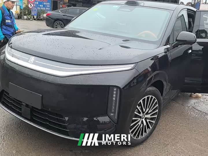 BYD Daton Pure Electric 950KM RWD Lidar Flagship - ავტომობილი ჩინეთიდან