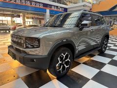 Jetour Jietu Shanhai T1 150km Xianghu - photo 3
