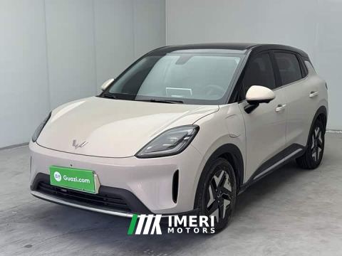 2026 Wuling Bingo S 325km Flagship - car from China