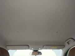 Wuling Bingo S 325km Flagship - ფოტო 17